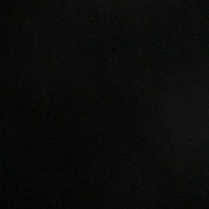 Meet your Posher, Max